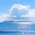 Avatar of Naeem Shah